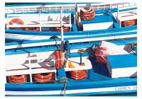 San Sebastian Boats